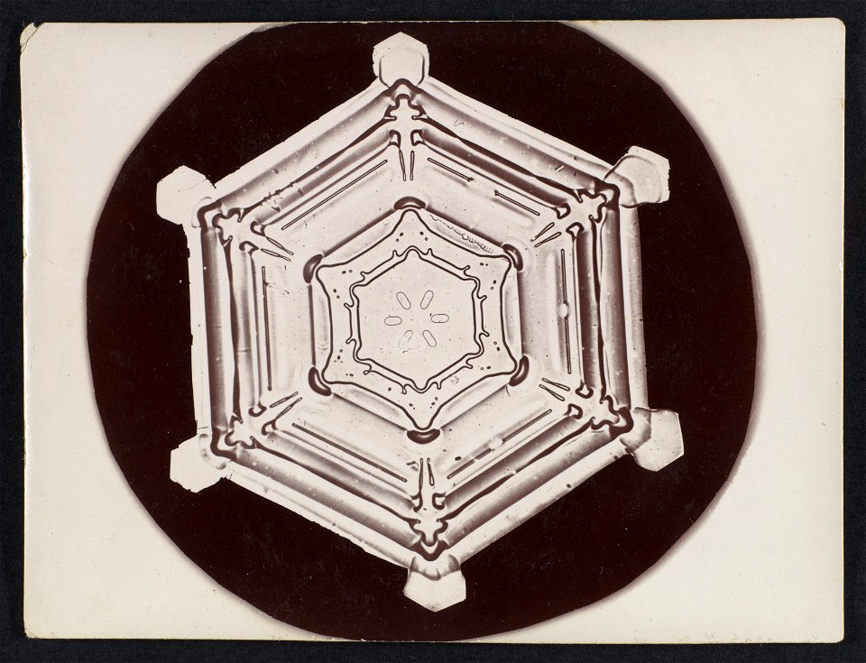 -Snow Crystal- MET DP351881