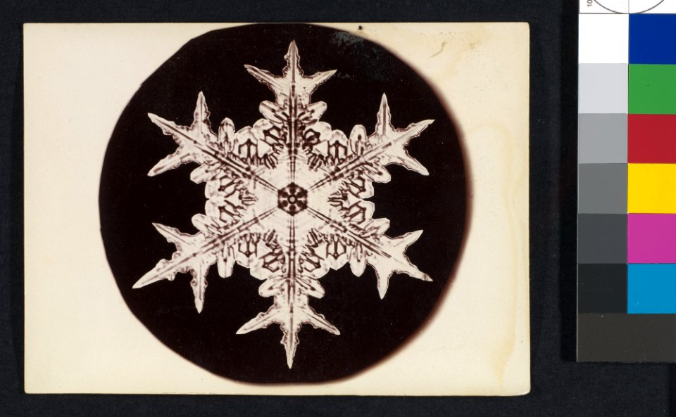 -Snow Crystal- MET DP351908