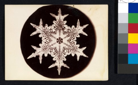 -Snow Crystal- MET DP351908