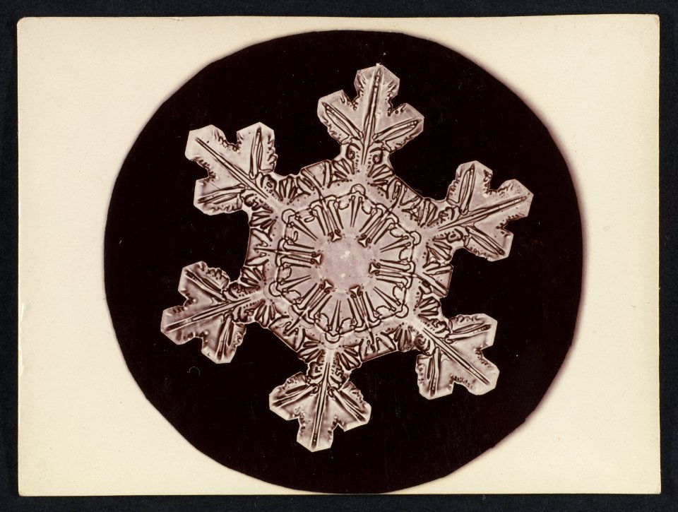 -Snow Crystal- MET DP351890