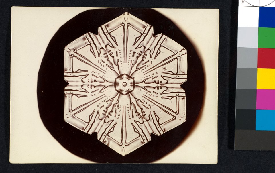 -Snow Crystal- MET DP351906