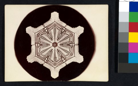 -Snow Crystal- MET DP351914