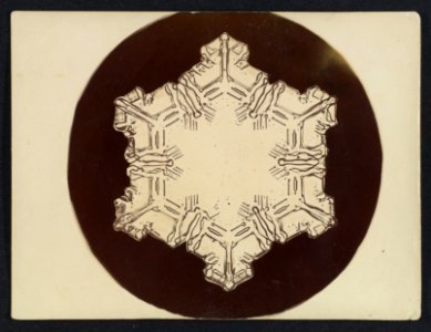 -Snow Crystal- MET DP351896