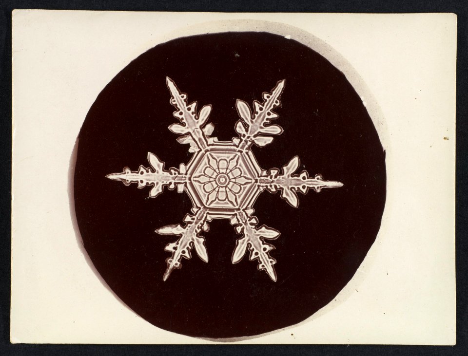 -Snow Crystal- MET DP351904