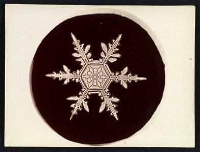 -Snow Crystal- MET DP351904