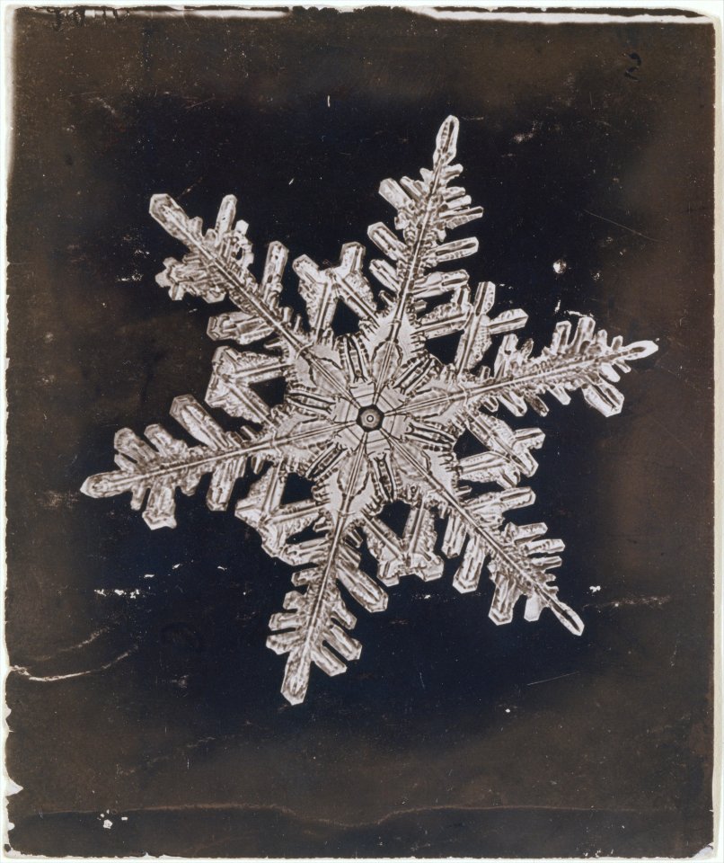 -Snow Crystal- MET DT259027