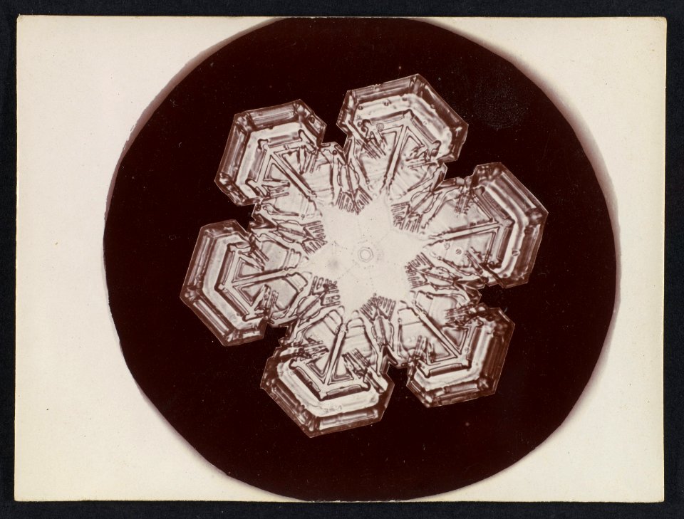 -Snow Crystal- MET DP351903