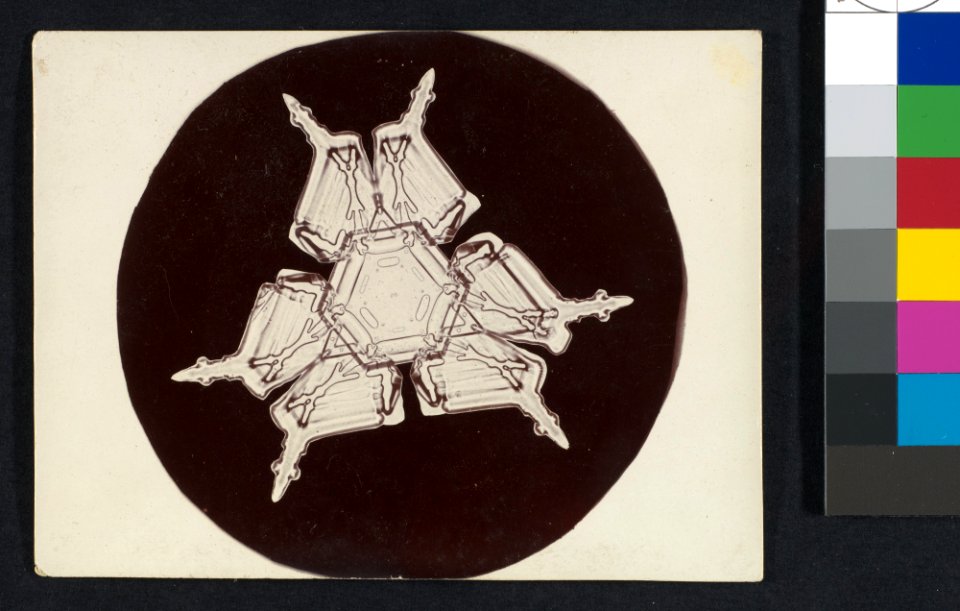 -Snow Crystal- MET DP351931