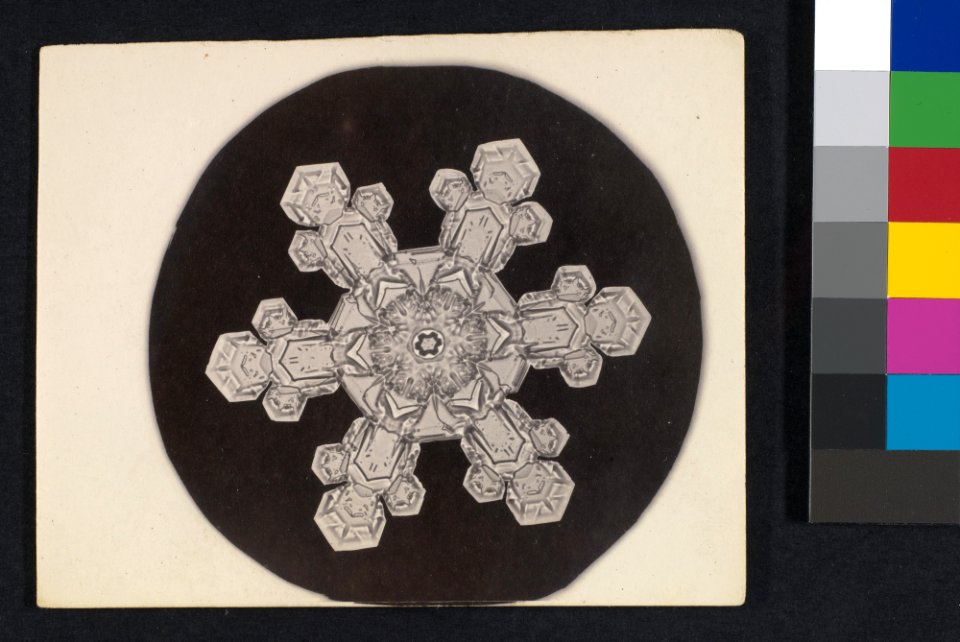 -Snow Crystal- MET DP351919