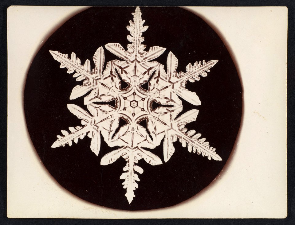-Snow Crystal- MET DP351882