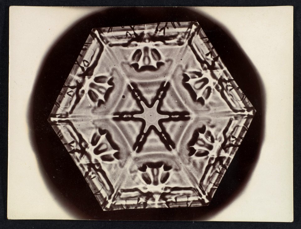 -Snow Crystal- MET DP351894