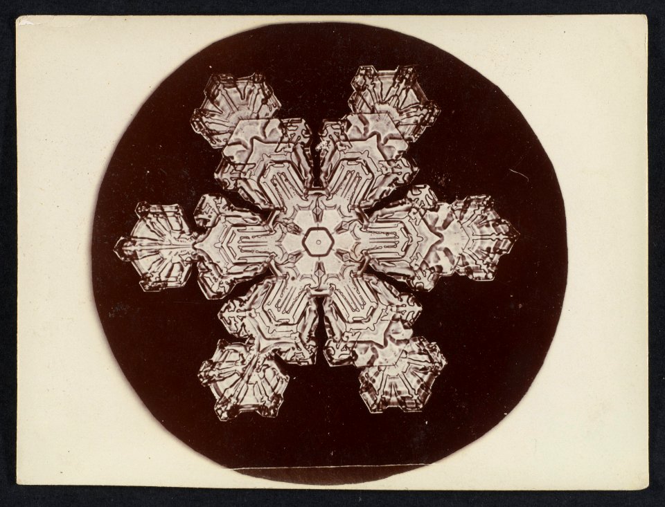 -Snow Crystal- MET DP351899