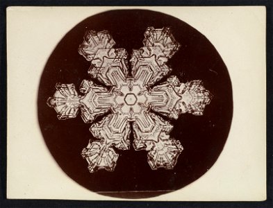 -Snow Crystal- MET DP351899