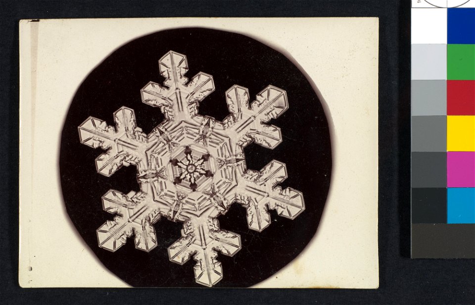 -Snow Crystal- MET DP351907