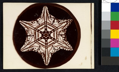 -Snow Crystal- MET DP351910