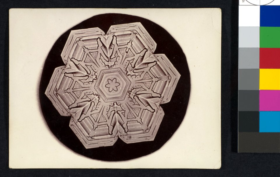 -Snow Crystal- MET DP351915
