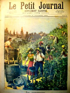 .Le petit journal Vendanges en France 1891