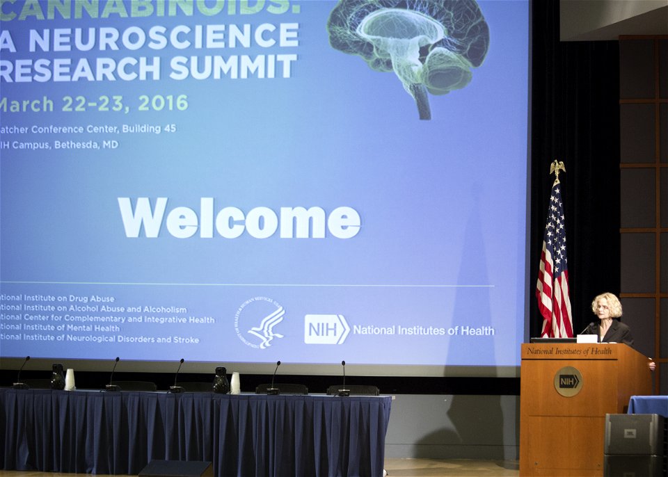 -MJNeuroSummit Welcome (25867254692)
