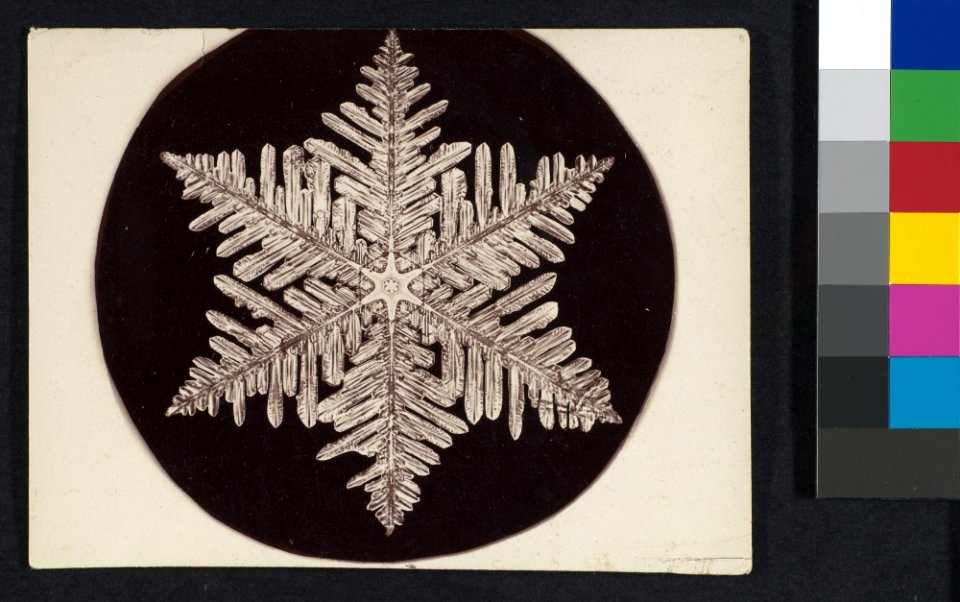 -Snow Crystal- MET DP351918
