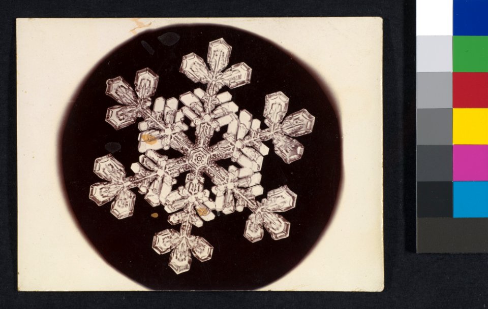 -Snow Crystal- MET DP351923