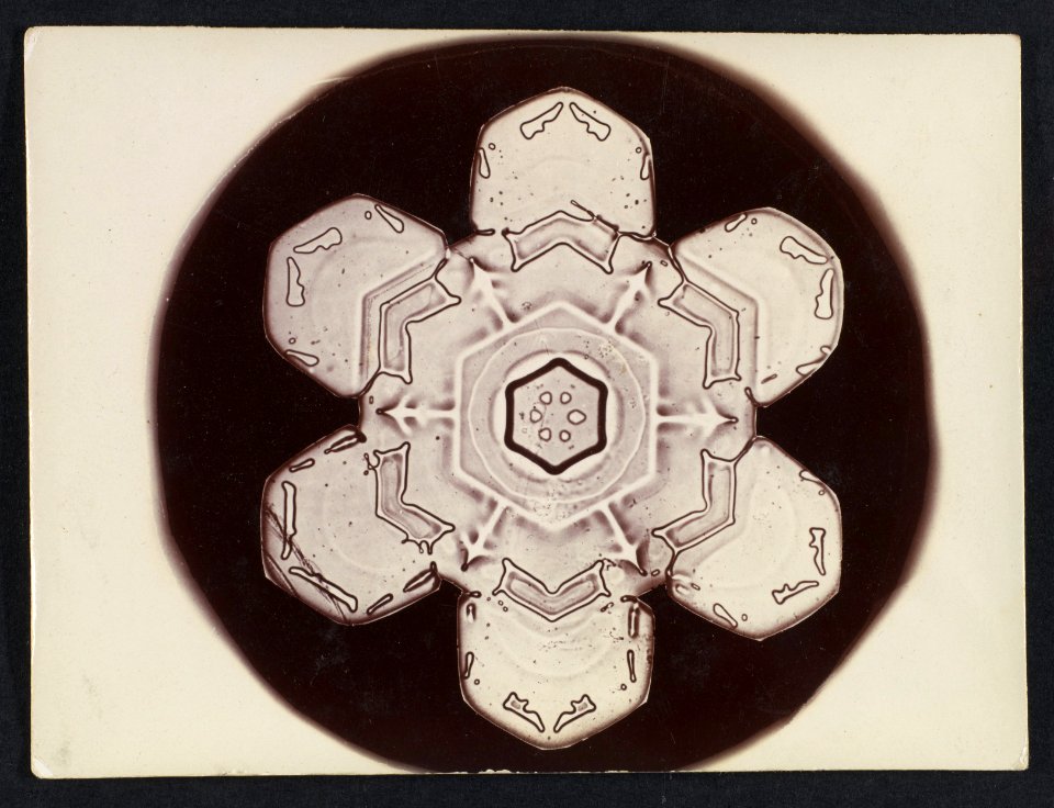 -Snow Crystal- MET DP351893