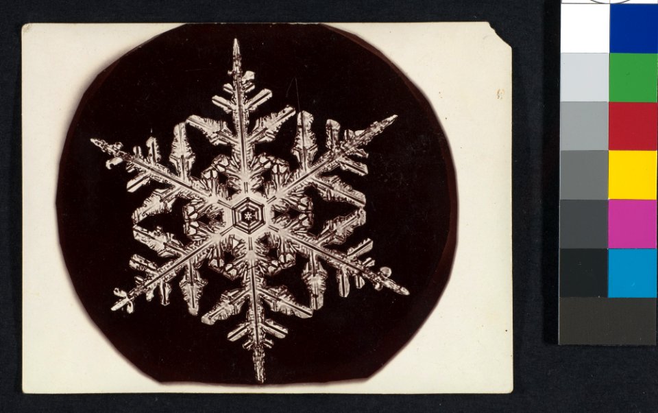 -Snow Crystal- MET DP351909