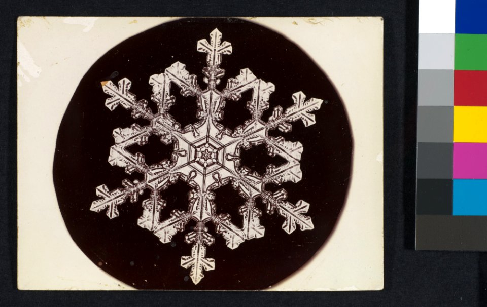 -Snow Crystal- MET DP351917
