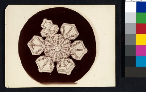 -Snow Crystal- MET DP351928