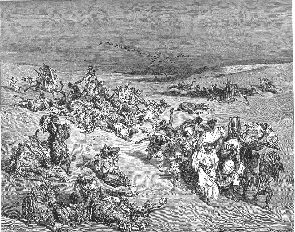 033.The Fifth Plague. Livestock Disease