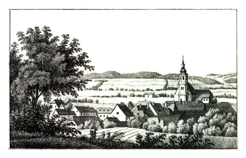 034 Markt Fehring im Grätzer Kreis - J.F.Kaiser Lithografirte Ansichten der Steiermark 1830