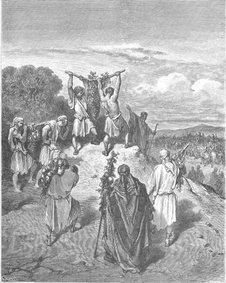 041B.The Spies Return from the Promised Land