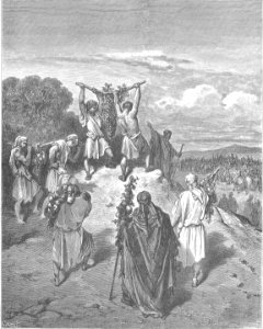 041B.The Spies Return from the Promised Land
