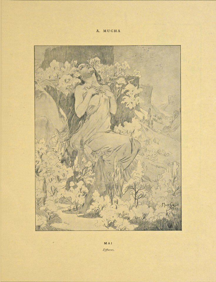 05 mai cocorico