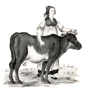 062 Schwaigerin im Bezirk Aflenz - um 1811