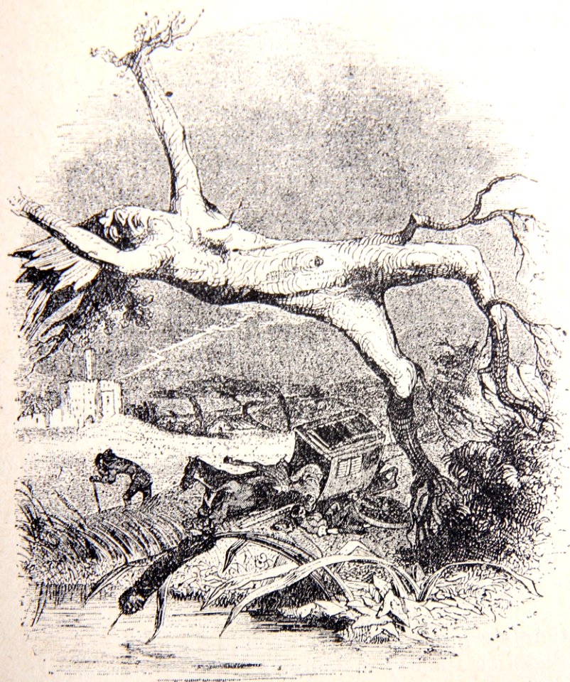 1-22-Le-chene-et-le-roseau