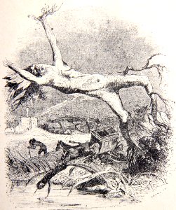 1-22-Le-chene-et-le-roseau