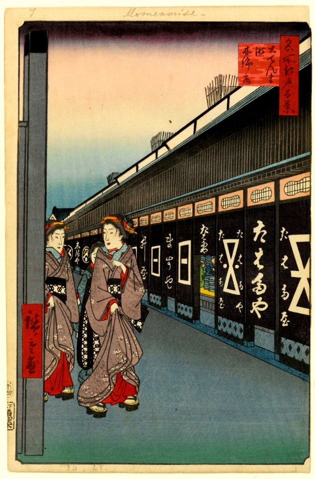 100 views edo 007