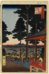 100 views edo 018