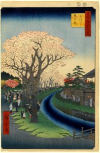 100 views edo 042
