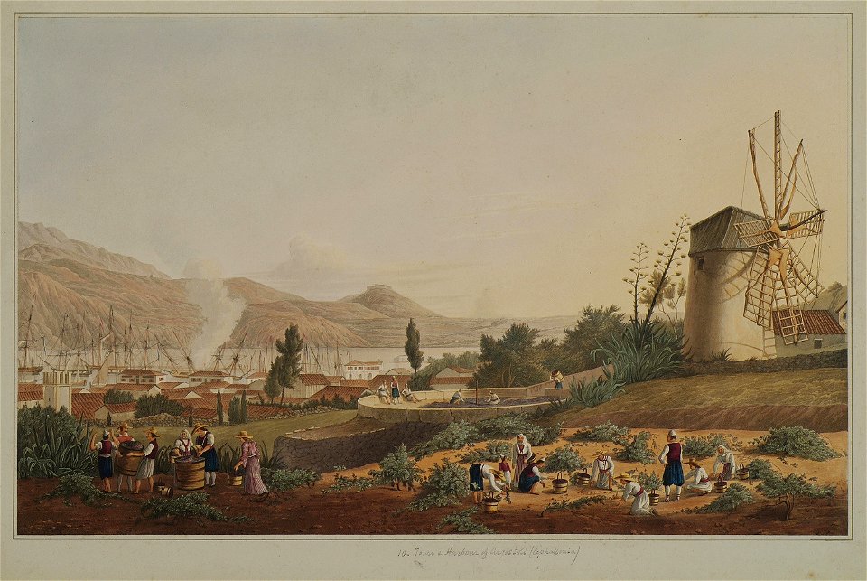 10 Town and harbour of Argostoli, (Cephallonia) - Cartwright Joseph - 1821