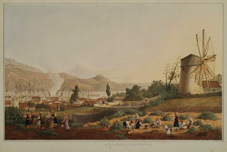 10 Town and harbour of Argostoli, (Cephallonia) - Cartwright Joseph - 1821