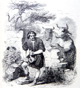 10-2-Lhomme-et-la-couleuvre