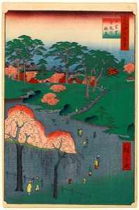 100 views edo 014