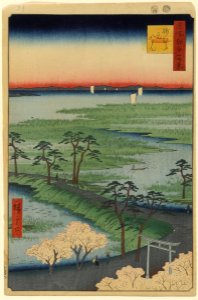 100 views edo 029