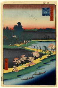 100 views edo 031