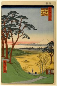 100 views edo 084