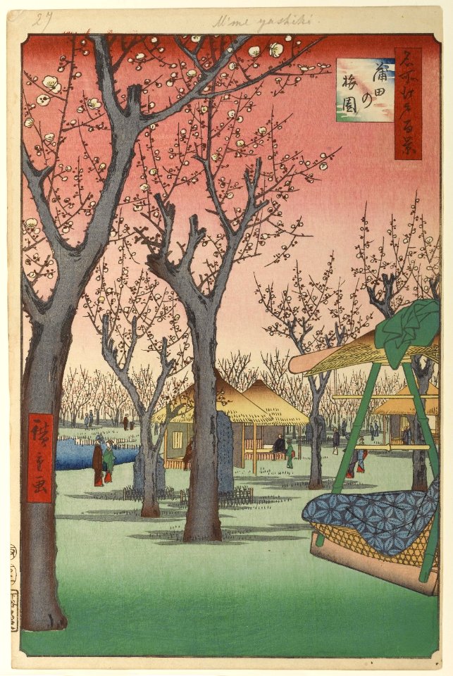 100 views edo 027