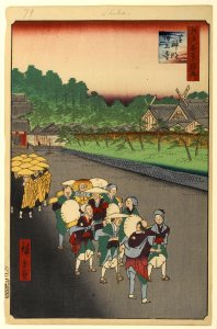 100 views edo 079