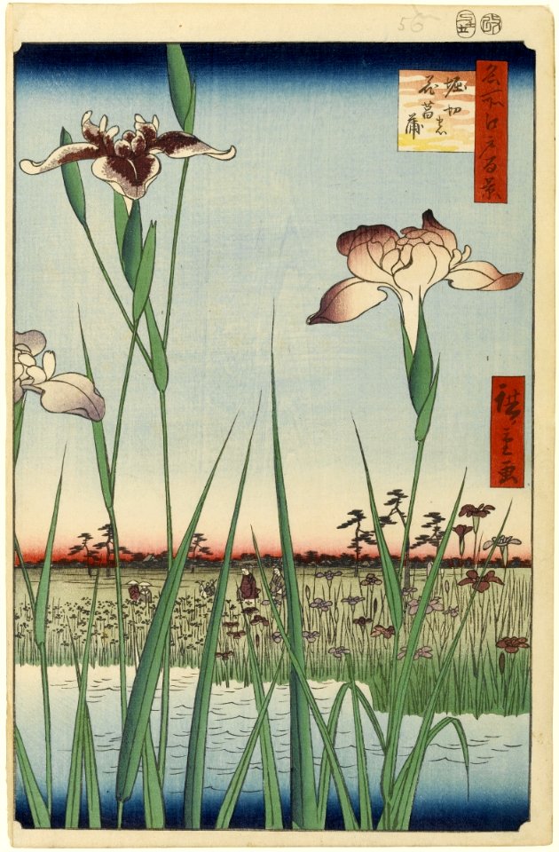 100 views edo 056