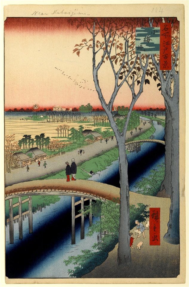 100 views edo 104